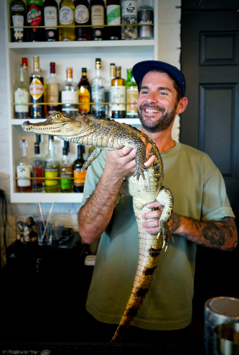 Le Crocodile