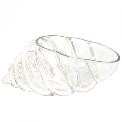 Tiki Mug - Clear Conch Shell 22oz by Alkademie - Alambika Canada